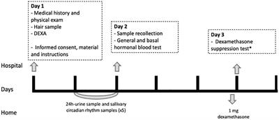 Hair cortisol and changes in cortisol dynamics in chronic kidney disease